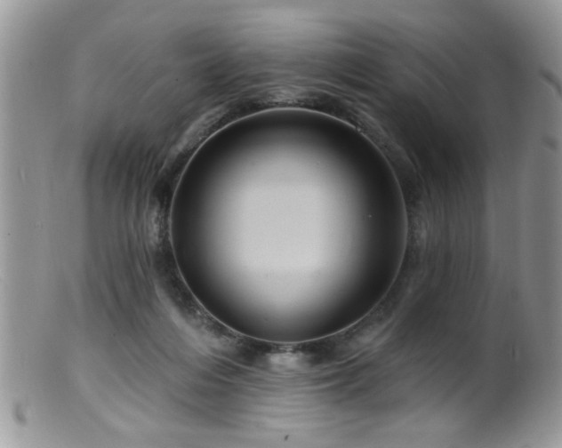 X0000099380216200805151626