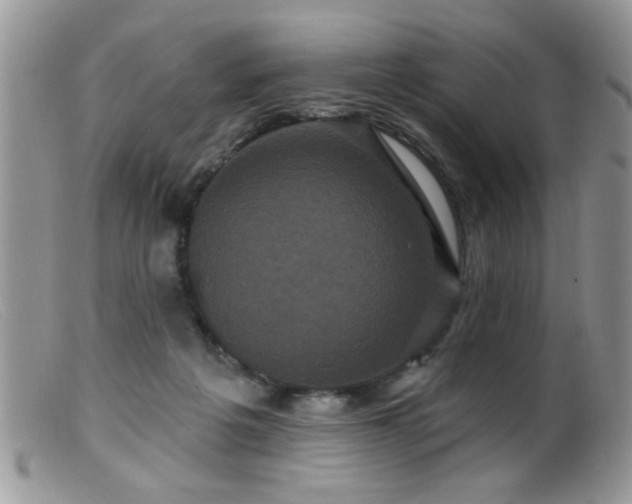 X0000099380217200805151626