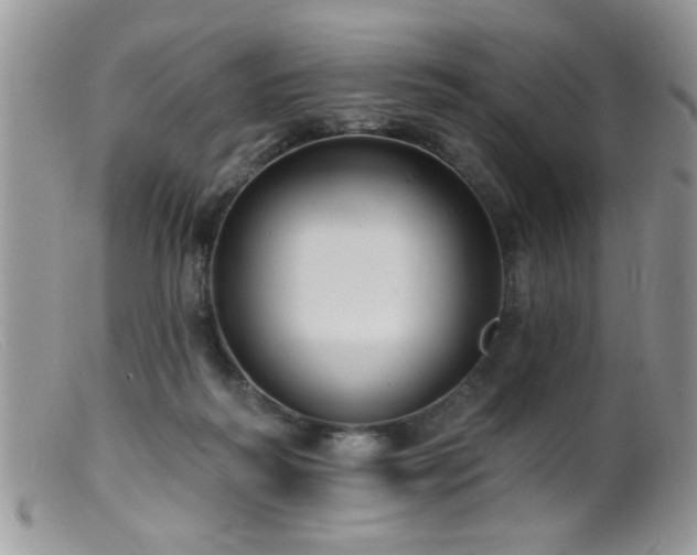 X0000099380218200805151626