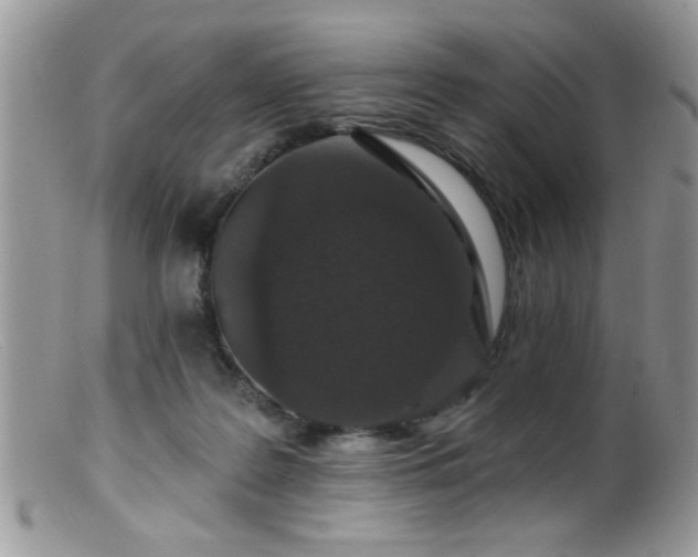 X0000099380219200805151626