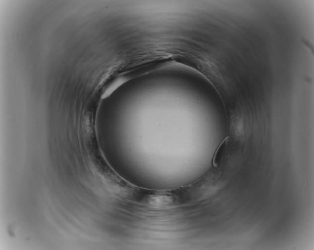 X0000099380220200805151626