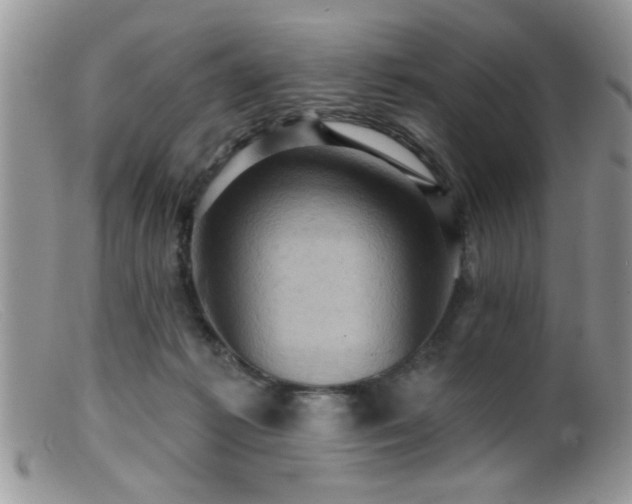 X0000099380221200805151626