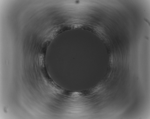 X0000099380222200805151626