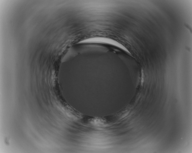 X0000099380223200805151626