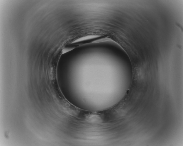 X0000099380224200805151626