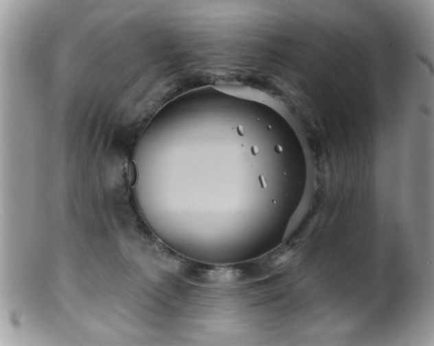 X0000099380225200805151626