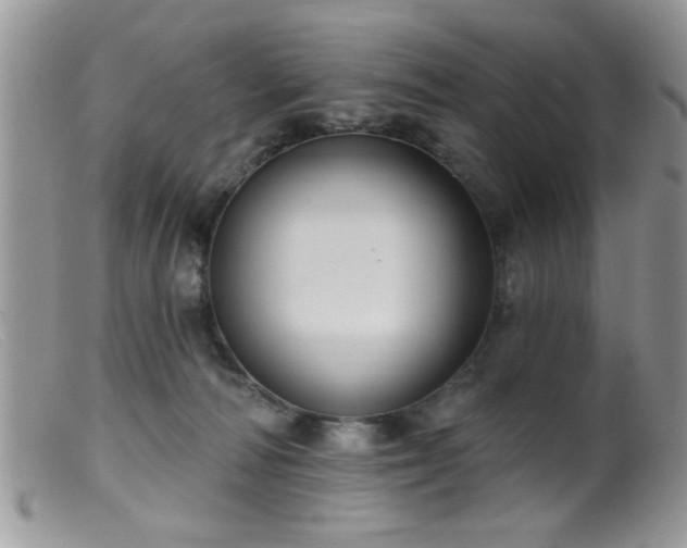 X0000099380226200805151626