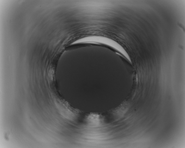 X0000099380227200805151626