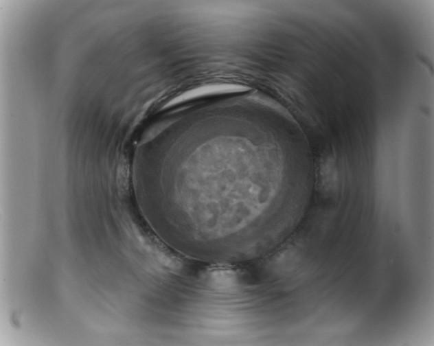 X0000099380228200805151626