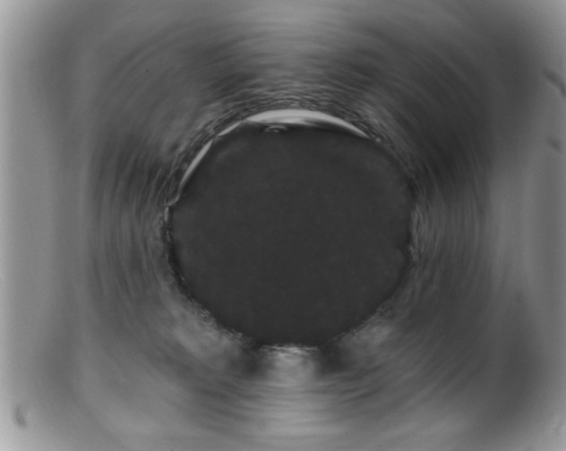 X0000099380229200805151626