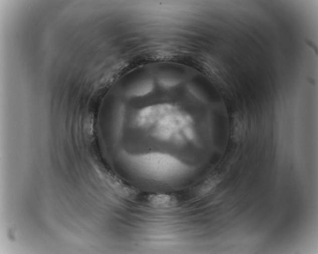 X0000099380230200805151626