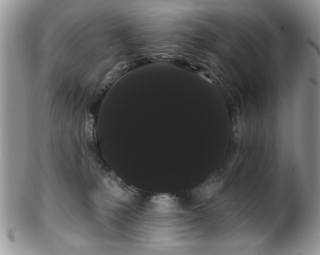 X0000099380231200805151626