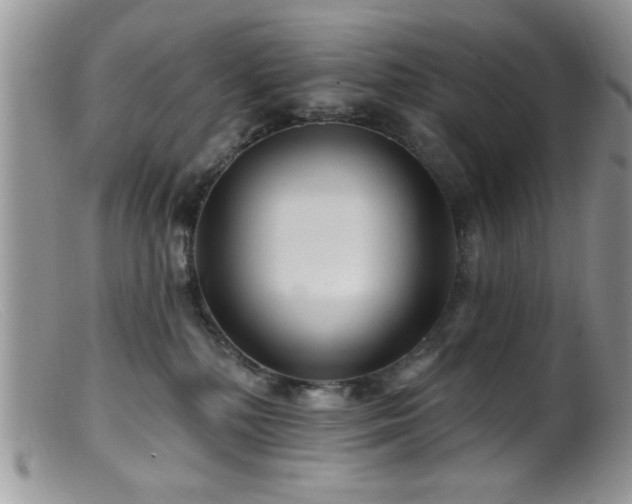 X0000099380232200805151626