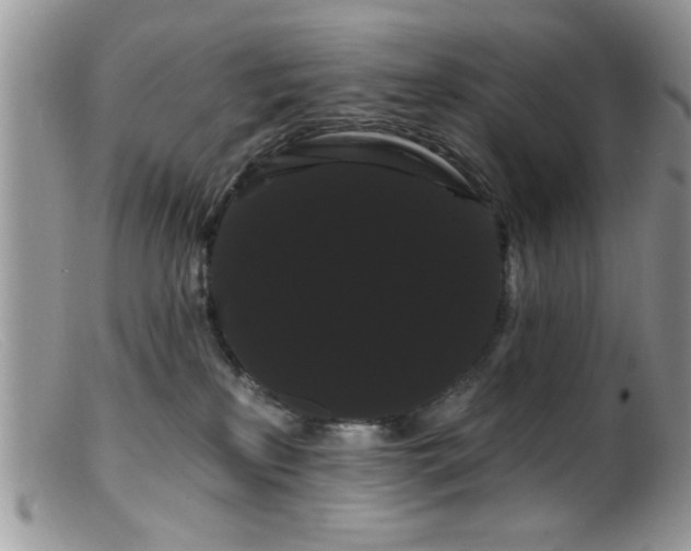 X0000099380233200805151626