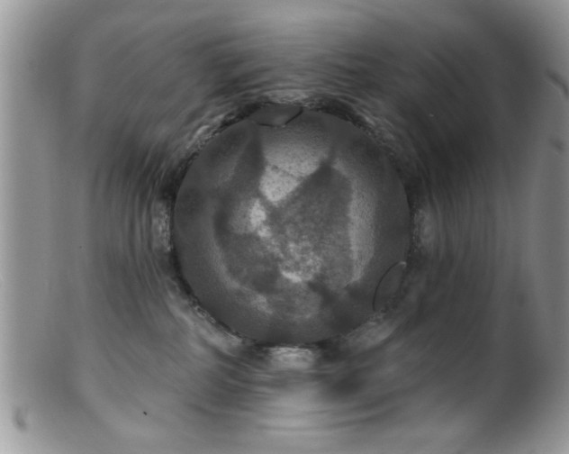 X0000099380234200805151626