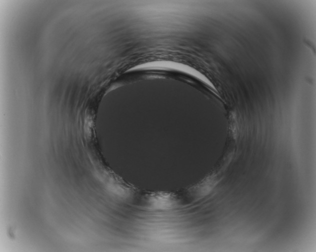 X0000099380235200805151626