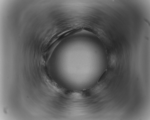 X0000099380236200805151626