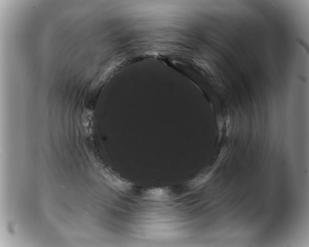 X0000099380237200805151626