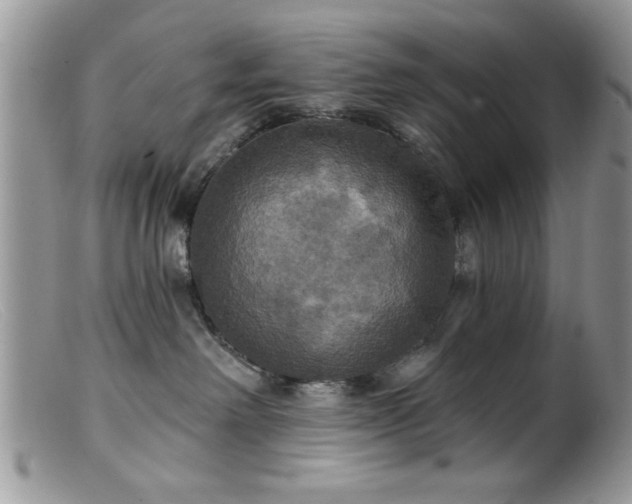 X0000099380238200805151626