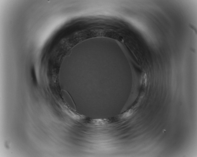 X0000099380239200805151626