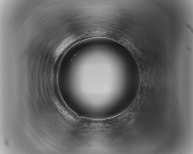 X0000099380242200805151625