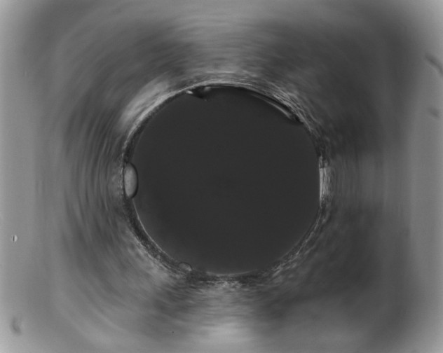 X0000099380243200805151625