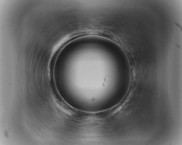 X0000099380246200805151625