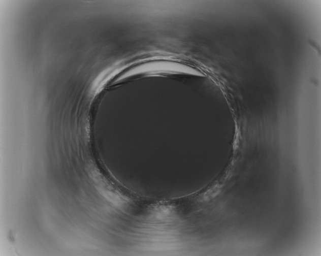 X0000099380247200805151625