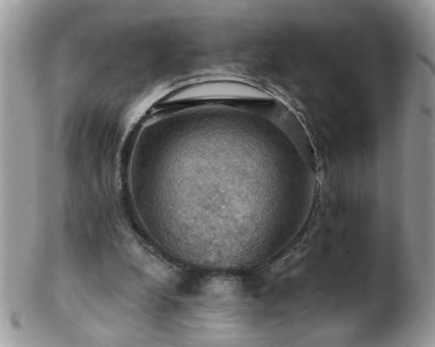 X0000099380248200805151625