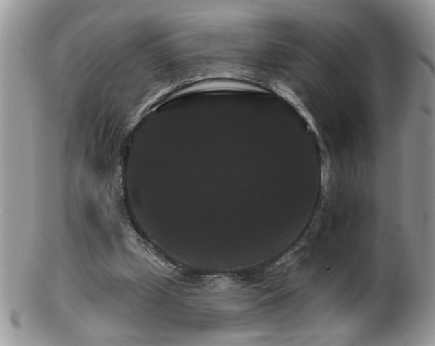 X0000099380249200805151625