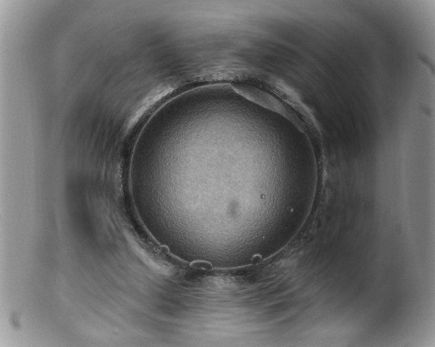 X0000099380250200805151625