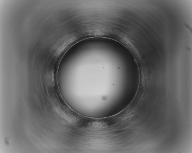 X0000099380251200805151625