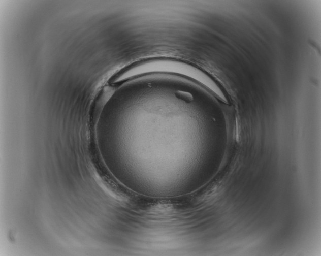 X0000099380252200805151625