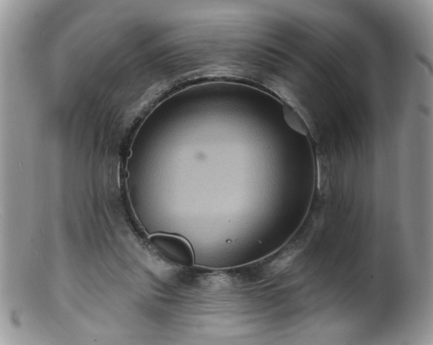 X0000099380253200805151625