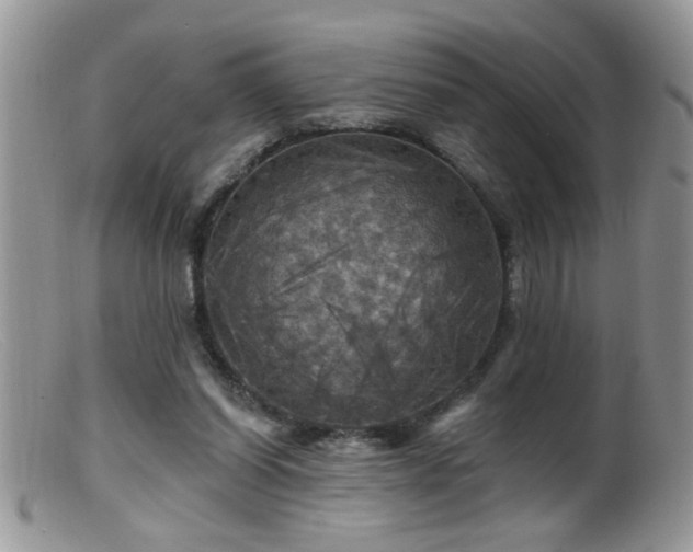 X0000099380254200805151625