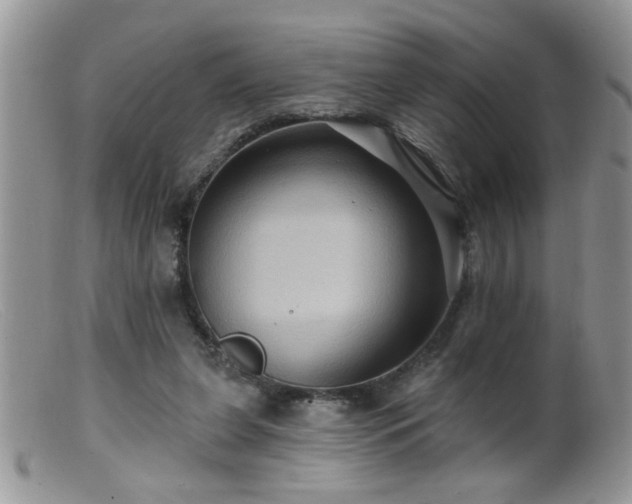 X0000099380255200805151625