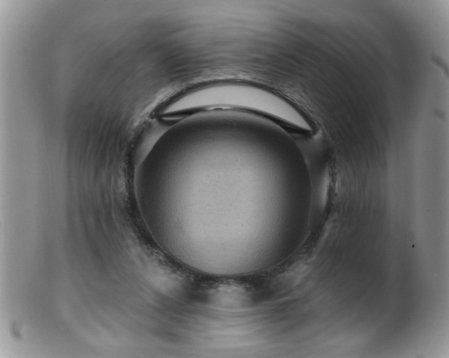 X0000099380256200805151625