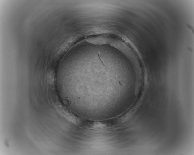 X0000099380257200805151625