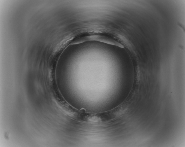 X0000099380258200805151625