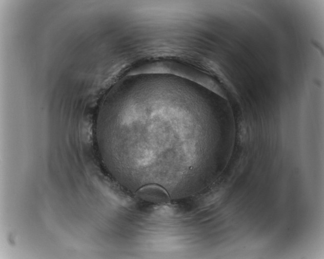 X0000099380259200805151625