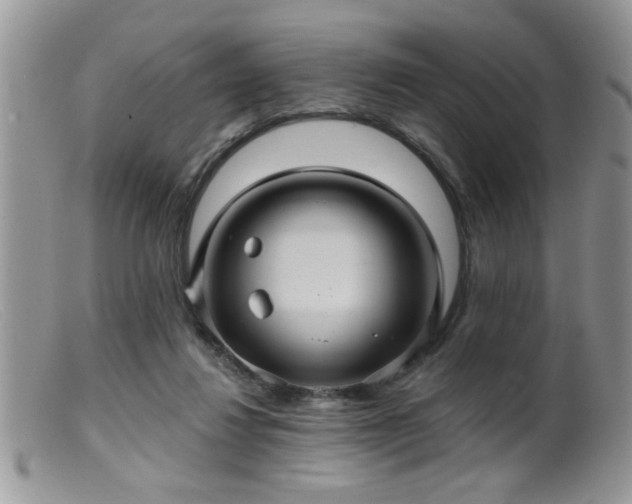 X0000099380260200805151625