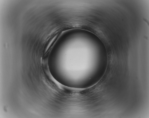 X0000099380262200805151625