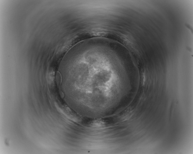 X0000099380263200805151625