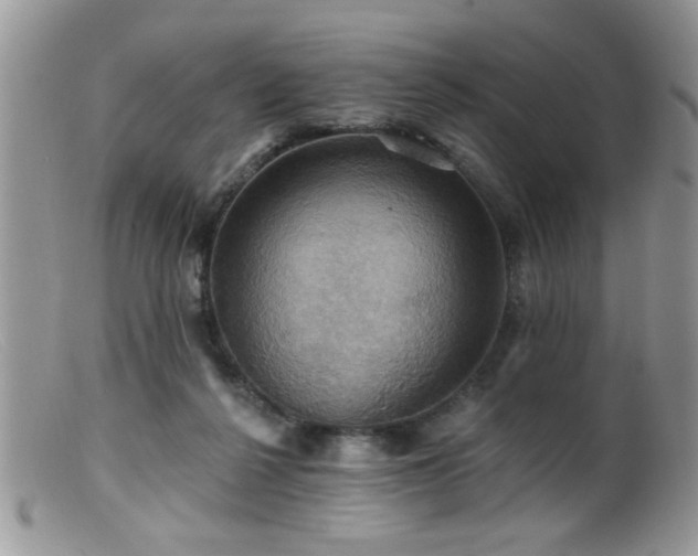 X0000099380264200805151625