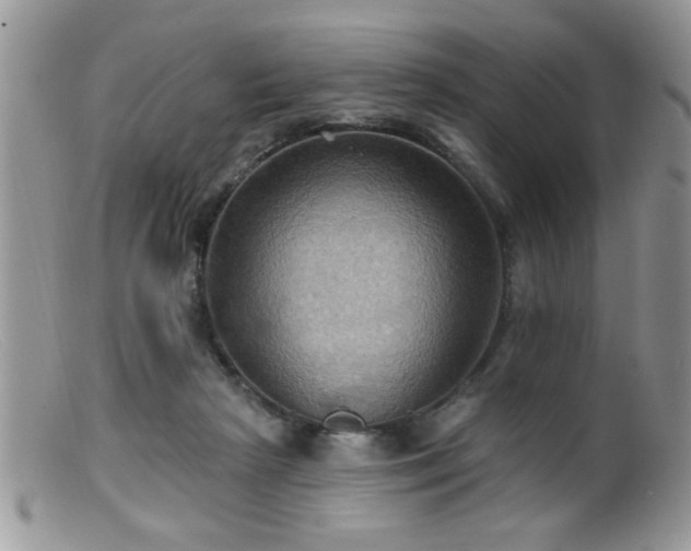 X0000099380265200805151625