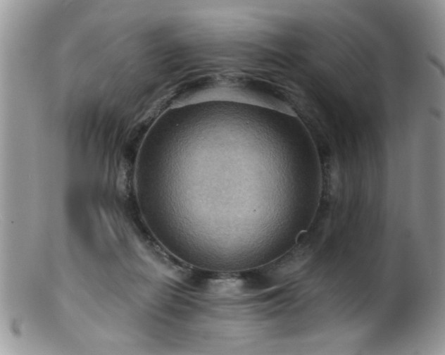 X0000099380266200805151625