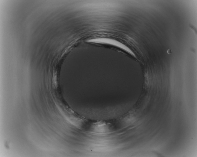 X0000099380267200805151625