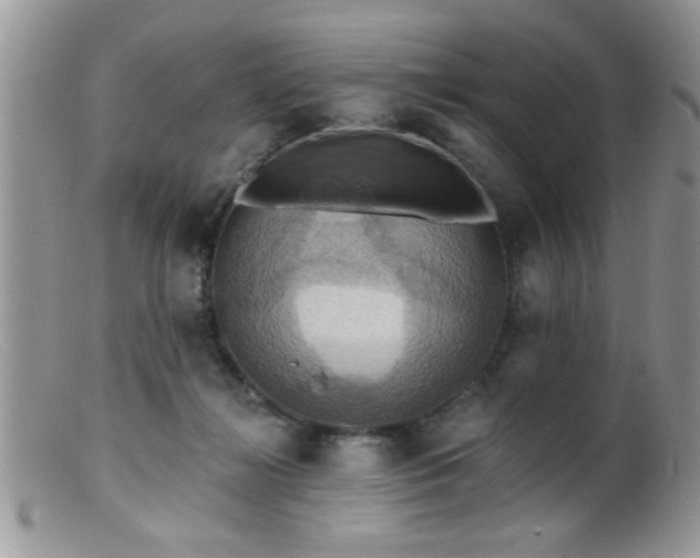 X0000099380268200805151625