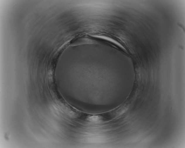 X0000099380269200805151625