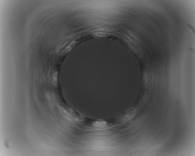 X0000099380271200805151625